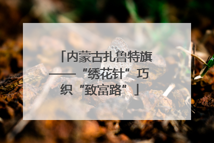 内蒙古扎鲁特旗——“绣花针”巧织“致富路”