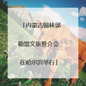 内蒙古锡林郭勒盟文旅推介会在哈尔滨举行