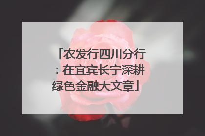 农发行四川分行：在宜宾长宁深耕绿色金融大文章