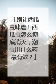 别让西瓜虫肆虐！西瓜虫怎么彻底消灭，潮虫用什么药最有效？