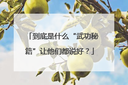 到底是什么“武功秘籍”让他们都说好？