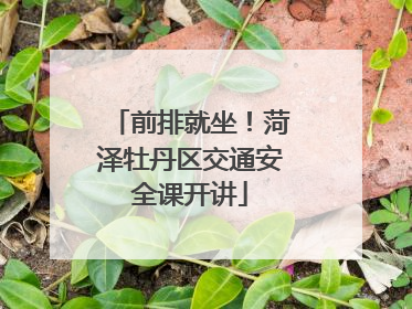 前排就坐！菏泽牡丹区交通安全课开讲