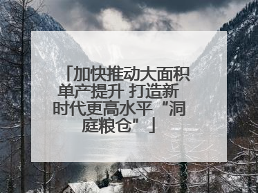 加快推动大面积单产提升 打造新时代更高水平“洞庭粮仓”