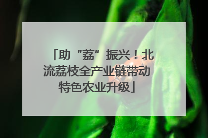 助“荔”振兴！北流荔枝全产业链带动特色农业升级