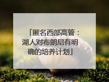 匿名西部高管：湖人对布朗尼有明确的培养计划