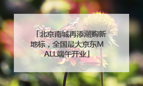 北京南城再添潮购新地标，全国最大京东MALL端午开业