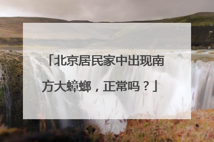 北京居民家中出现南方大蟑螂，正常吗？