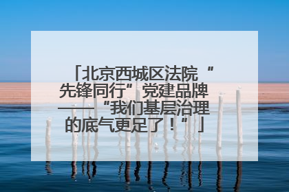 北京西城区法院“先锋同行”党建品牌——“我们基层治理的底气更足了！”