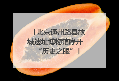 北京通州路县故城遗址博物馆睁开“历史之眼”