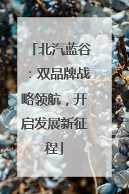北汽蓝谷：双品牌战略领航，开启发展新征程