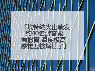 埃特纳火山喷发 约40名游客紧急撤离 温度极高感觉要被烤焦了