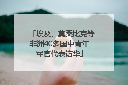 埃及、莫桑比克等非洲40多国中青年军官代表访华