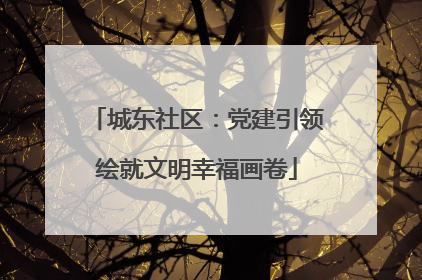 城东社区：党建引领绘就文明幸福画卷