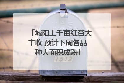 城阳上千亩红杏大丰收 预计下周各品种大面积成熟