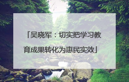 吴晓军：切实把学习教育成果转化为惠民实效