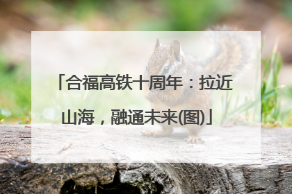 合福高铁十周年：拉近山海，融通未来(图)
