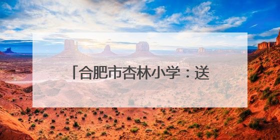 合肥市杏林小学：送教古城 互学共研