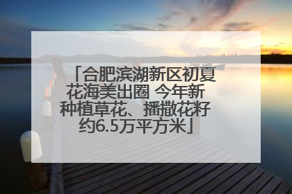 合肥滨湖新区初夏花海美出圈 今年新种植草花、播撒花籽约6.5万平方米