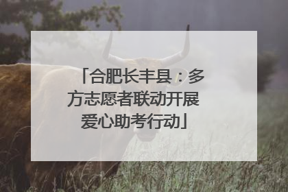 合肥长丰县：多方志愿者联动开展爱心助考行动