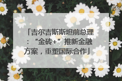 吉尔吉斯斯坦前总理：“金砖+”推新金融方案，重塑国际合作