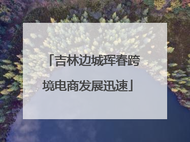 吉林边城珲春跨境电商发展迅速