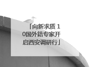 向新求质 10国外籍专家开启西安调研行