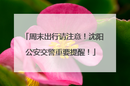 周末出行请注意！沈阳公安交警重要提醒！