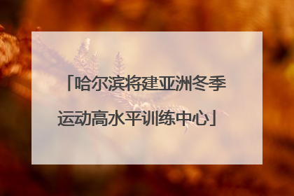 哈尔滨将建亚洲冬季运动高水平训练中心