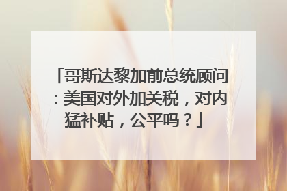 哥斯达黎加前总统顾问：美国对外加关税，对内猛补贴，公平吗？
