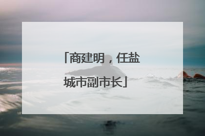商建明，任盐城市副市长