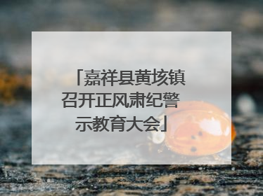 嘉祥县黄垓镇召开正风肃纪警示教育大会