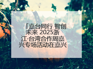 嘉台同行 智创未来 2025浙江·台湾合作周嘉兴专场活动在嘉兴经开区启幕