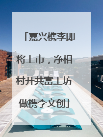 嘉兴槜李即将上市，净相村开共富工坊做槜李文创