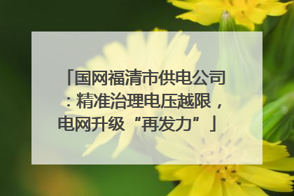国网福清市供电公司：精准治理电压越限，电网升级“再发力”