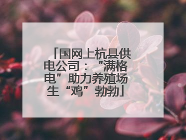 国网上杭县供电公司：“满格电”助力养殖场生“鸡”勃勃