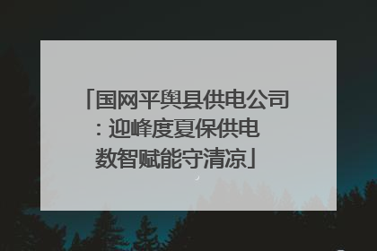 国网平舆县供电公司：迎峰度夏保供电  数智赋能守清凉