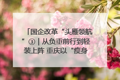 国企改革“头雁领航”③｜从负重前行到轻装上阵 重庆以“瘦身”谋“健体”