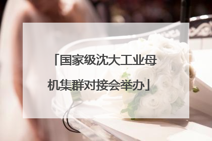 国家级沈大工业母机集群对接会举办