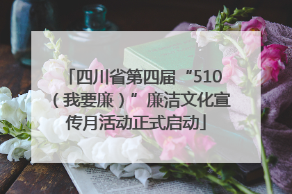 四川省第四届“510（我要廉）”廉洁文化宣传月活动正式启动