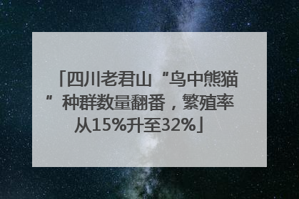 四川老君山“鸟中熊猫”种群数量翻番，繁殖率从15%升至32%