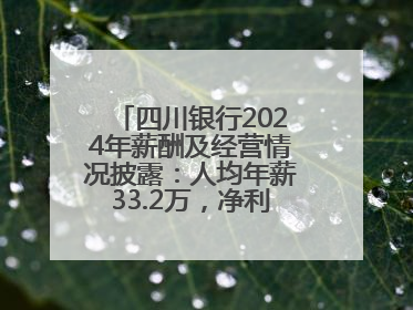 四川银行2024年薪酬及经营情况披露：人均年薪33.2万，净利润突破20亿