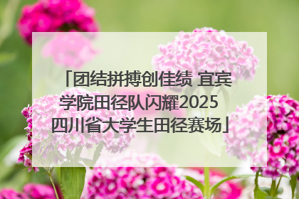 团结拼搏创佳绩 宜宾学院田径队闪耀2025四川省大学生田径赛场