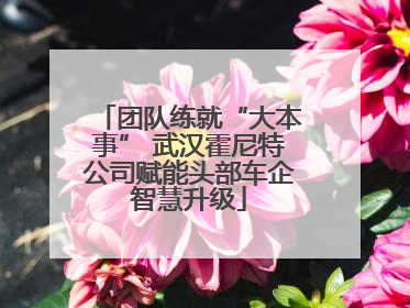 团队练就“大本事” 武汉霍尼特公司赋能头部车企智慧升级