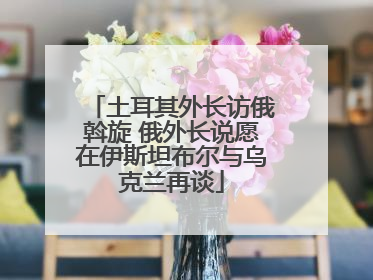 土耳其外长访俄斡旋 俄外长说愿在伊斯坦布尔与乌克兰再谈