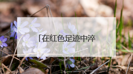 在红色足迹中淬炼担当 会同县开展“民兵活动日”主题实践活动