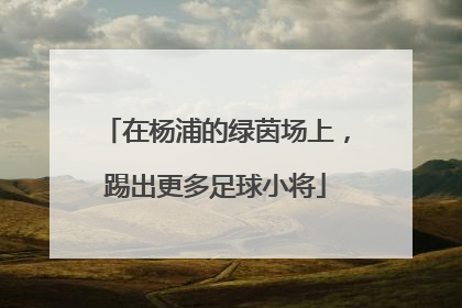 在杨浦的绿茵场上，踢出更多足球小将