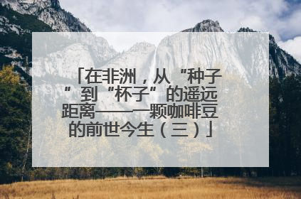 在非洲，从“种子”到“杯子”的遥远距离——一颗咖啡豆的前世今生（三）