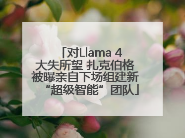 对Llama 4大失所望 扎克伯格被曝亲自下场组建新“超级智能”团队