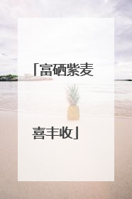 富硒紫麦喜丰收
