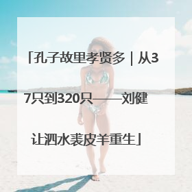 孔子故里孝贤多｜从37只到320只——刘健让泗水裘皮羊重生
